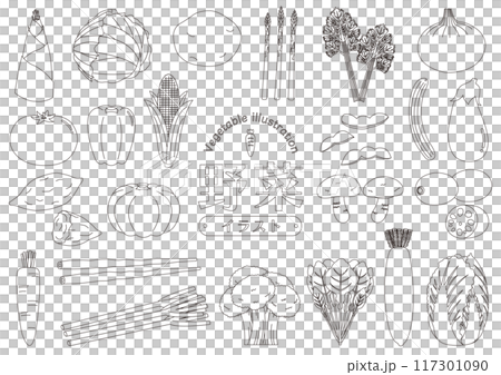 Set of various vegetable illustrations_Line drawings 117301090