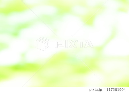 イエローグリーン系動きのあるバックグラウンドイメージ イエローグリーン系動きのあるバックグラウンドイメージ 117301904