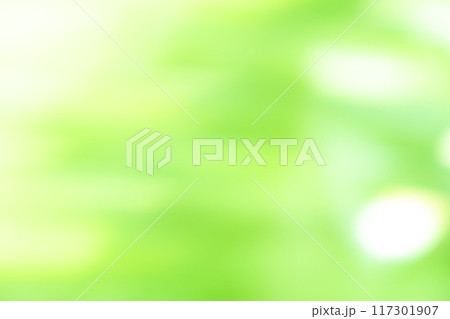 イエローグリーン系動きのあるバックグラウンドイメージ イエローグリーン系動きのあるバックグラウンドイメージ 117301907