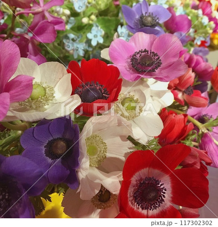 色鮮やかなお花畑 117302302