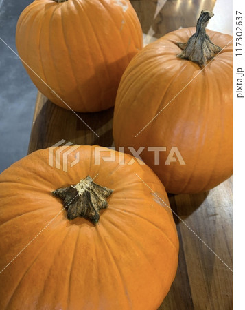 ハッピーハロウィン大きなカボチャ 117302637