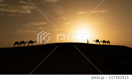 Silhouette of unidentified Berber man leading camel across sand dunes during sunset in Sahara Desert, Morocco 117302913