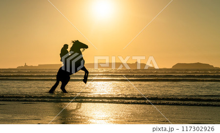 Silhouette of a horse and its unidentified rider on Essaouira's beach at sunset, Morocco, capturing a tranquil moment on the coast. 117302926