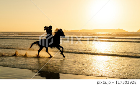 Silhouette of a horse and its unidentified rider on Essaouira's beach at sunset, Morocco, capturing a tranquil moment on the coast. 117302928