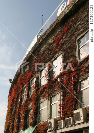 平成の思い出紅葉甲子園球場 平成の思い出紅葉甲子園球場 117303123
