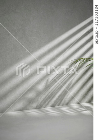 A sunny room with windows. Background with multiple objects and shadows for different designs. 117303184