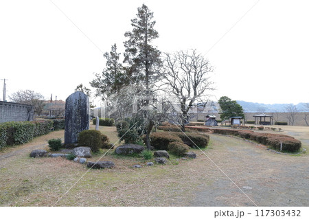 朝顔の松公園 人形浄瑠璃 静岡県島田市 117303432