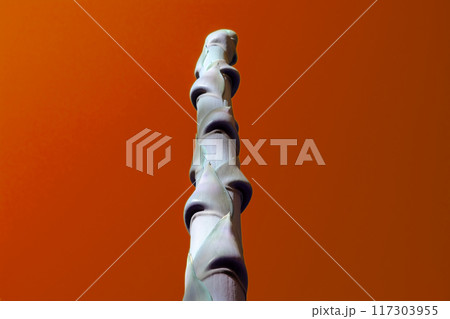 Unusual colorful tropical trees with fallen leaves, background 117303955