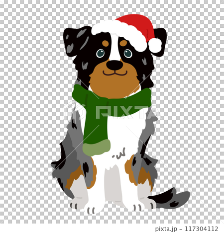 Simple and cute Christmas Australian Shepherd illustration (no main lines) Simple and cute Christmas Australian Shepherd illustration (no main lines) 117304112