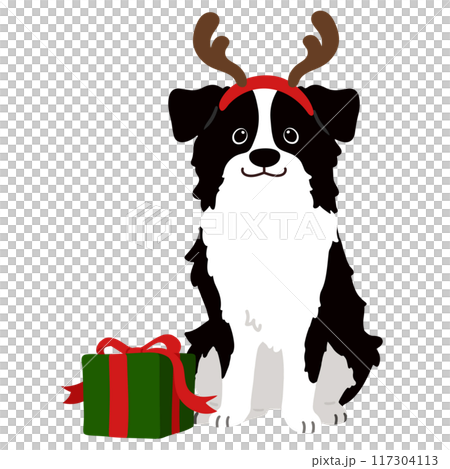 無主線聖誕簡單可愛邊境牧羊犬插畫 117304113