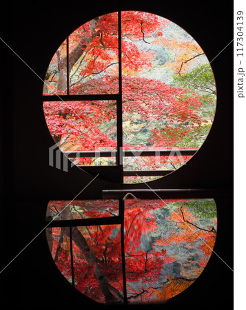 祐斎亭から見る嵐山の紅葉 117304139