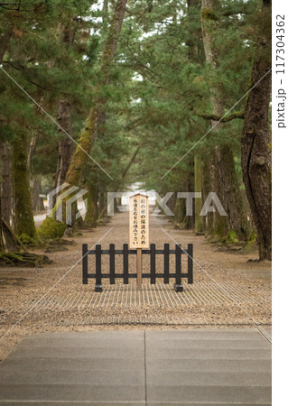 出雲大社 松の参道 出雲大社 松の参道 117304362