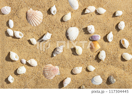Sandy beach with seashells summer pattern. Sea background with shells. Top view, flat lay. 117304445