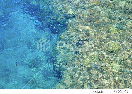 珊瑚礁の海を泳ぐカラフルな魚たち 117305147
