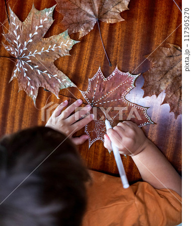 A three-year-old boy paints dry leaves with a white gel pen. 117305270