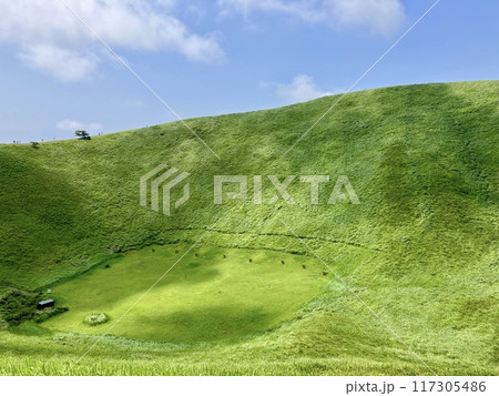 大室山の山頂から見た景色_静岡県伊東市_大室山 大室山の山頂から見た景色_静岡県伊東市_大室山 117305486