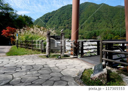 長野県駒ヶ根市_こまくさ橋2_2023年10月 長野県駒ヶ根市_こまくさ橋2_2023年10月 117305553