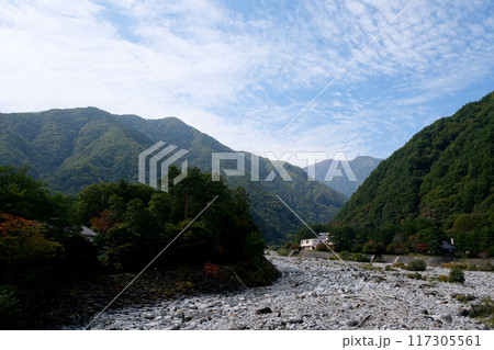 長野県駒ヶ根市_こまくさ橋から西側風景3_2023年10月 長野県駒ヶ根市_こまくさ橋から西側風景3_2023年10月 117305561