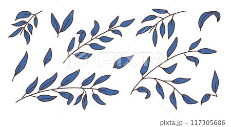 Set of leaves. Vector hand drawn foliage collection illustration isolated on white background. Set of leaves. Vector hand drawn foliage collection illustration isolated on white background. 117305686