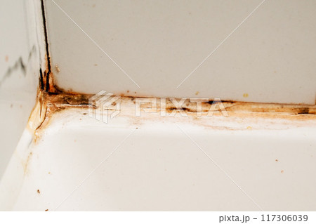 Close up of old dirty white ceramic tile wall with rust stains. Dirty corner in the bathroom, cleaning concept, old rusty joint between tiles in the shower with mold 117306039