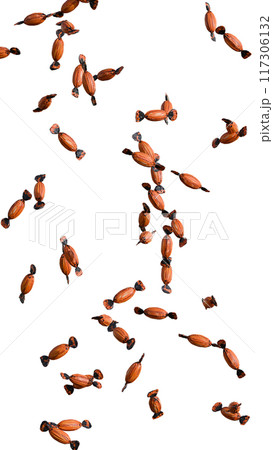 Halloween candies on a transparent background vertical PNG 117306132