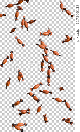 Halloween candies on a transparent background vertical PNG Halloween candies on a transparent background vertical PNG 117306132
