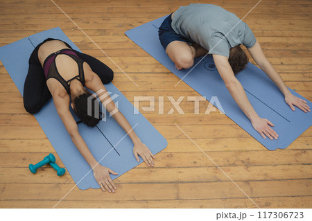 Training to become the best. Beautiful young woman and man in sports clothing exercising at home. 117306723