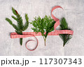 Red and white ribbon with three Christmas tree branches flat lay. Merry Christmas and Happy New Year seasons greetings card. Banner with copy space 117307343