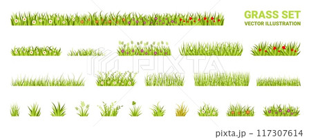 Cartoon grass. Spring garden plants with tiny flowers, field or herb garden pattern. Summer nature landscape, floral drawing. Decorative borders and meadow frames. Vector flat illustration 117307614