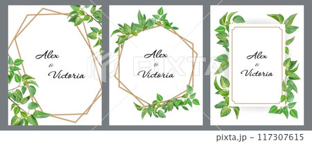 Leaf background. Green plant border, gold frame, eucalyptus forest greenery with simple herbal foliage, spring branch. Spring botanical decorative set. Poster or invitation. Vector design 117307615