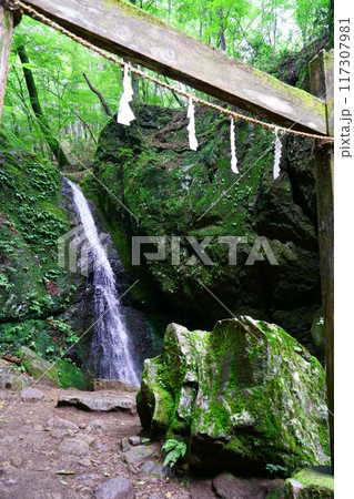 6983 奥御岳渓谷 綾広の滝 6983 奥御岳渓谷 綾広の滝 117307981