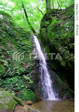 6982 奥御岳渓谷 綾広の滝 6982 奥御岳渓谷 綾広の滝 117307994