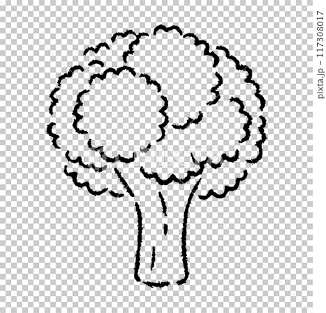 手描きのブロッコリーのイラスト2（白黒） 117308017