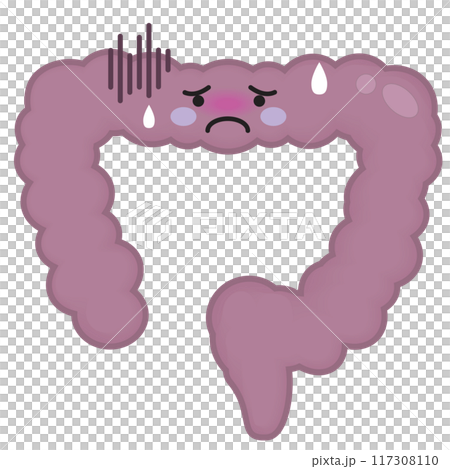 不健康な腸 不健康な腸 117308110