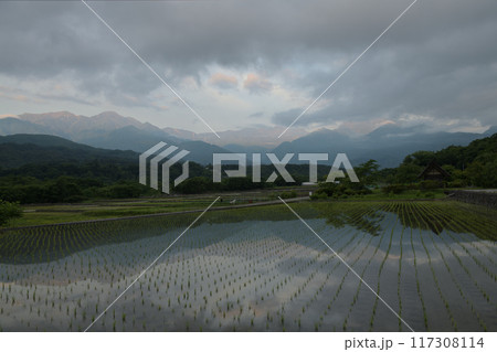 北杜市武川町水車の里公園にて、田植えの済んだ水田に映る明け行く南アルプス 北杜市武川町水車の里公園にて、田植えの済んだ水田に映る明け行く南アルプス 117308114