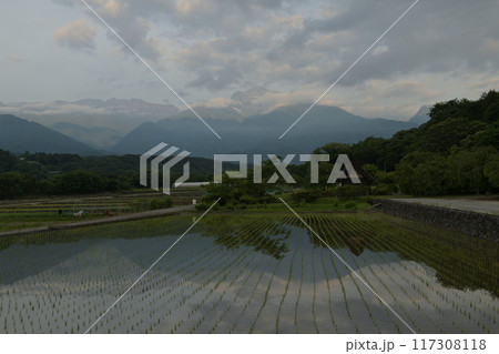 北杜市武川町水車の里公園にて、田植えの済んだ水田に映る明け行く南アルプス 117308118