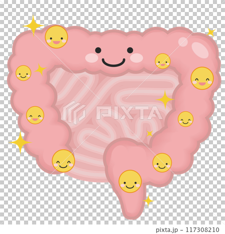 元気な腸 117308210
