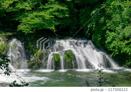 麻布渓谷 不動の滝 麻布渓谷 不動の滝 117308222