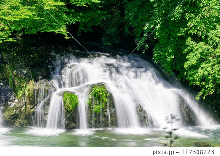 麻布渓谷　不動の滝 117308223