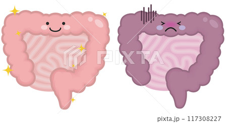健康な腸と不健康な腸 117308227