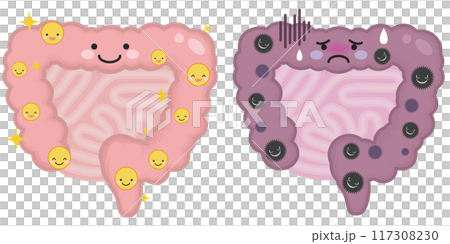 Healthy and unhealthy intestines 117308230