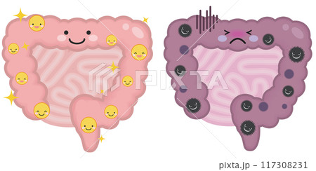 元気な腸と不健康な腸 元気な腸と不健康な腸 117308231