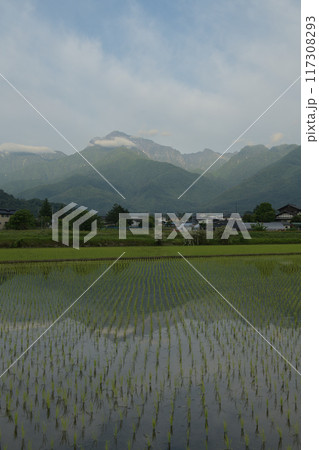 北杜市白州町、明け行く南アルプス甲斐駒ケ岳を映す田植えの済んだ水田 117308293