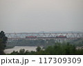 工臨 117309309