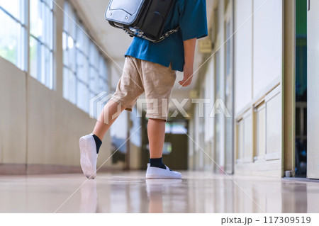 廊下を歩く小学生 117309519
