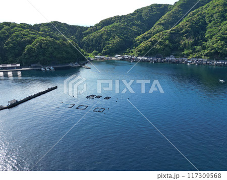京都府伊根町の伊根湾沿岸の空撮 京都府伊根町の伊根湾沿岸の空撮 117309568