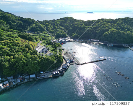 京都府伊根町の伊根港沿岸の空撮 京都府伊根町の伊根港沿岸の空撮 117309827