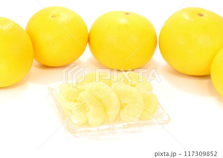 土佐文旦　ブンタン　剥き　デザート　明るい背景 117309852