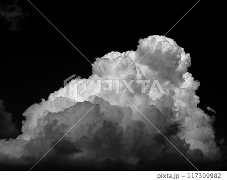 入道雲　モノクロ 117309982