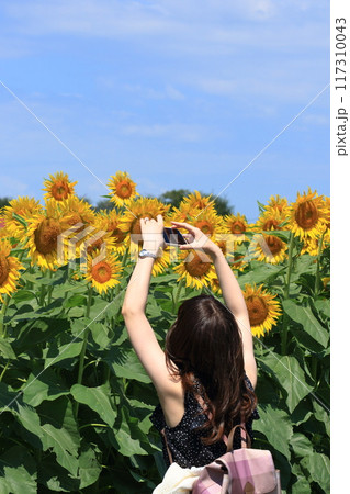 ひまわり畑の写真を撮る女性 ひまわり畑の写真を撮る女性 117310043